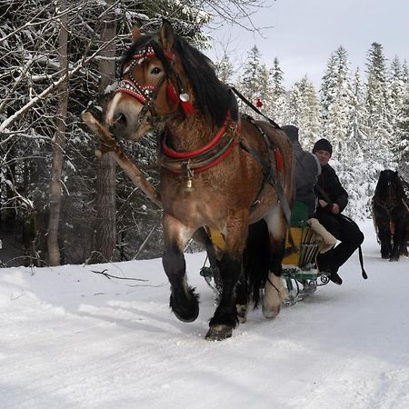 Zubrzyca GornaGorska Lesniczowka别墅 外观 照片